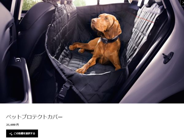 外車に犬を乗せる方法(ウンコされた話)