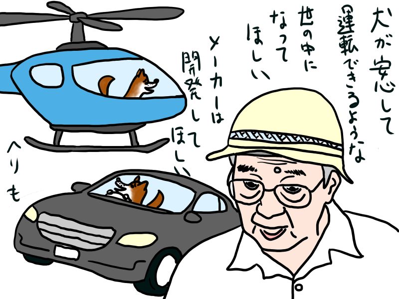 高齢ドライバーの事故原因(高齢者にも確信犯のワルがいる件)